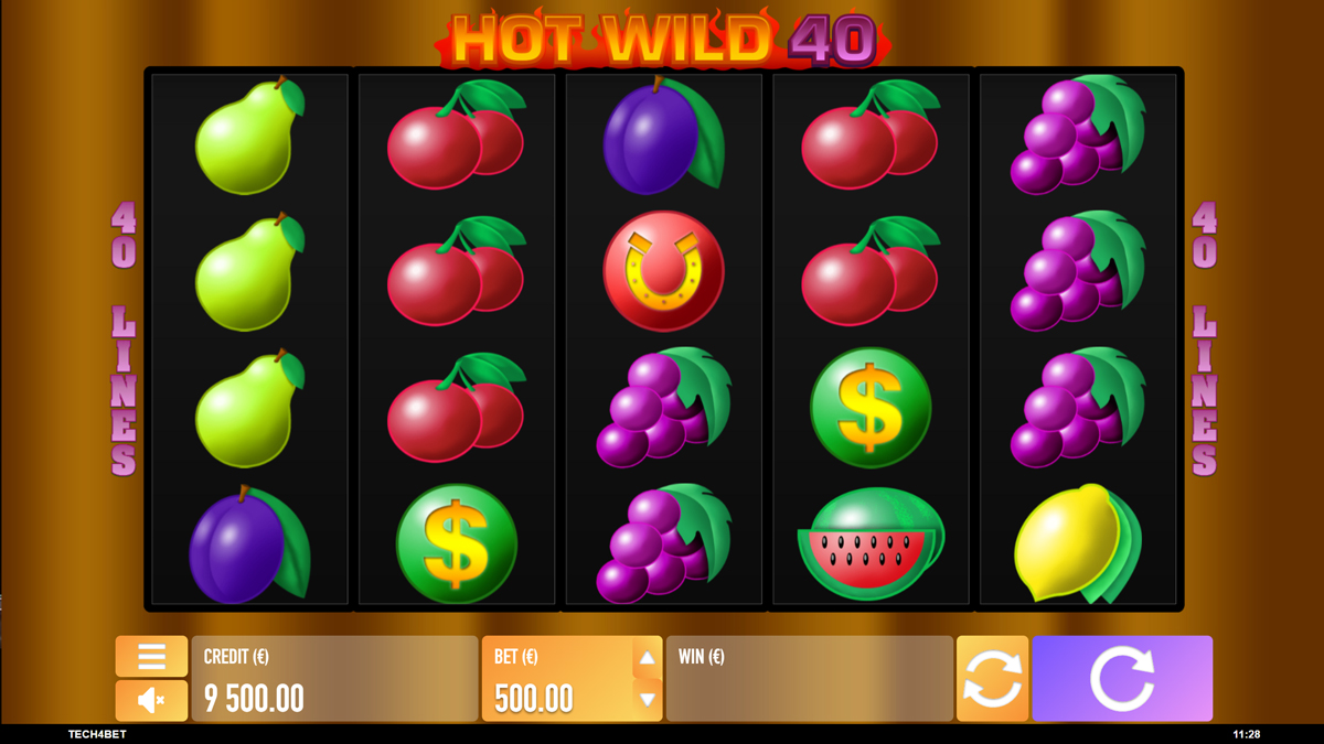 Hot Wild 40 Hot Wild 40