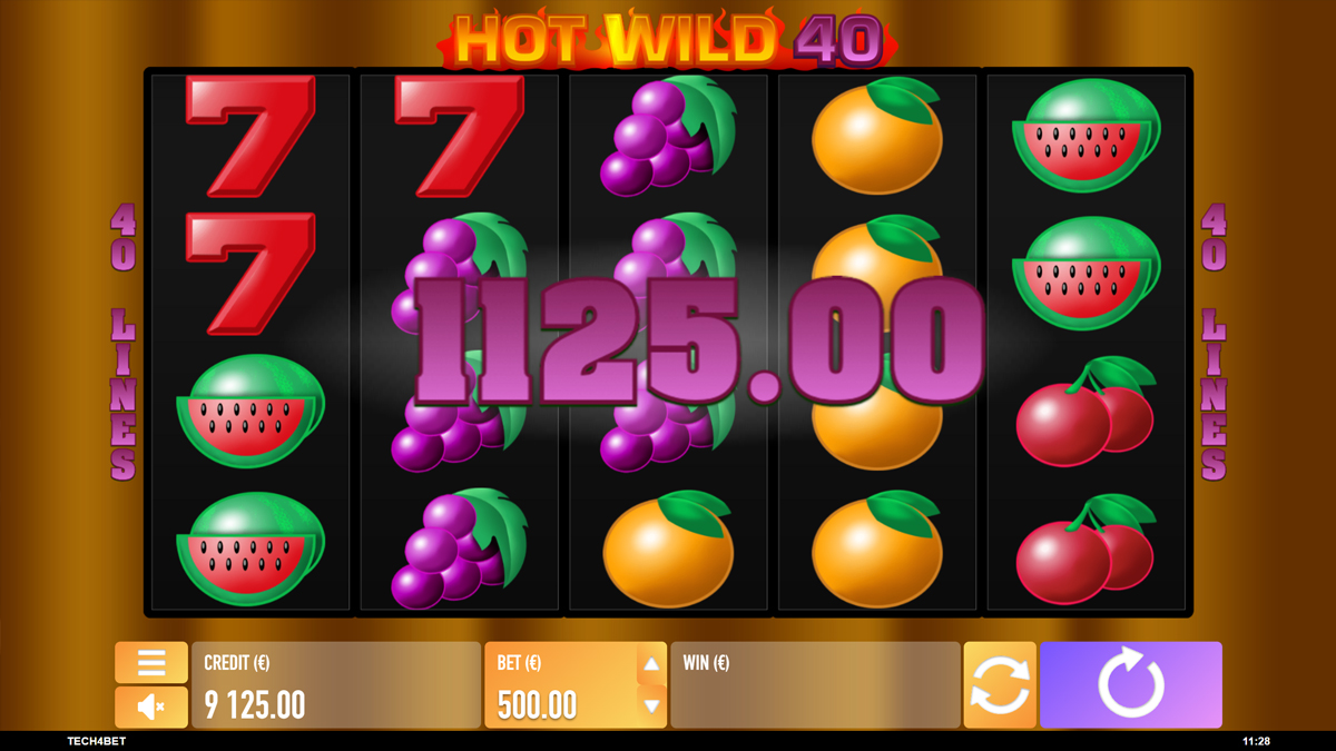 Hot Wild 40 Hot Wild 40